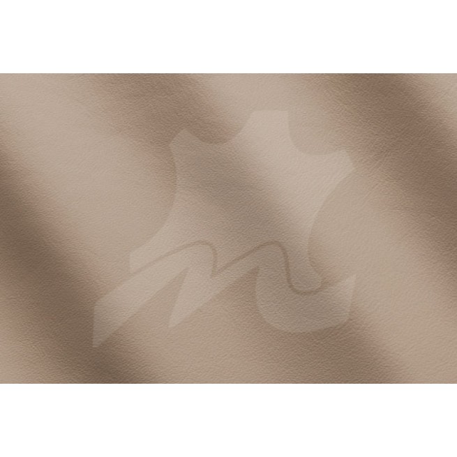 Aligo Group фото
